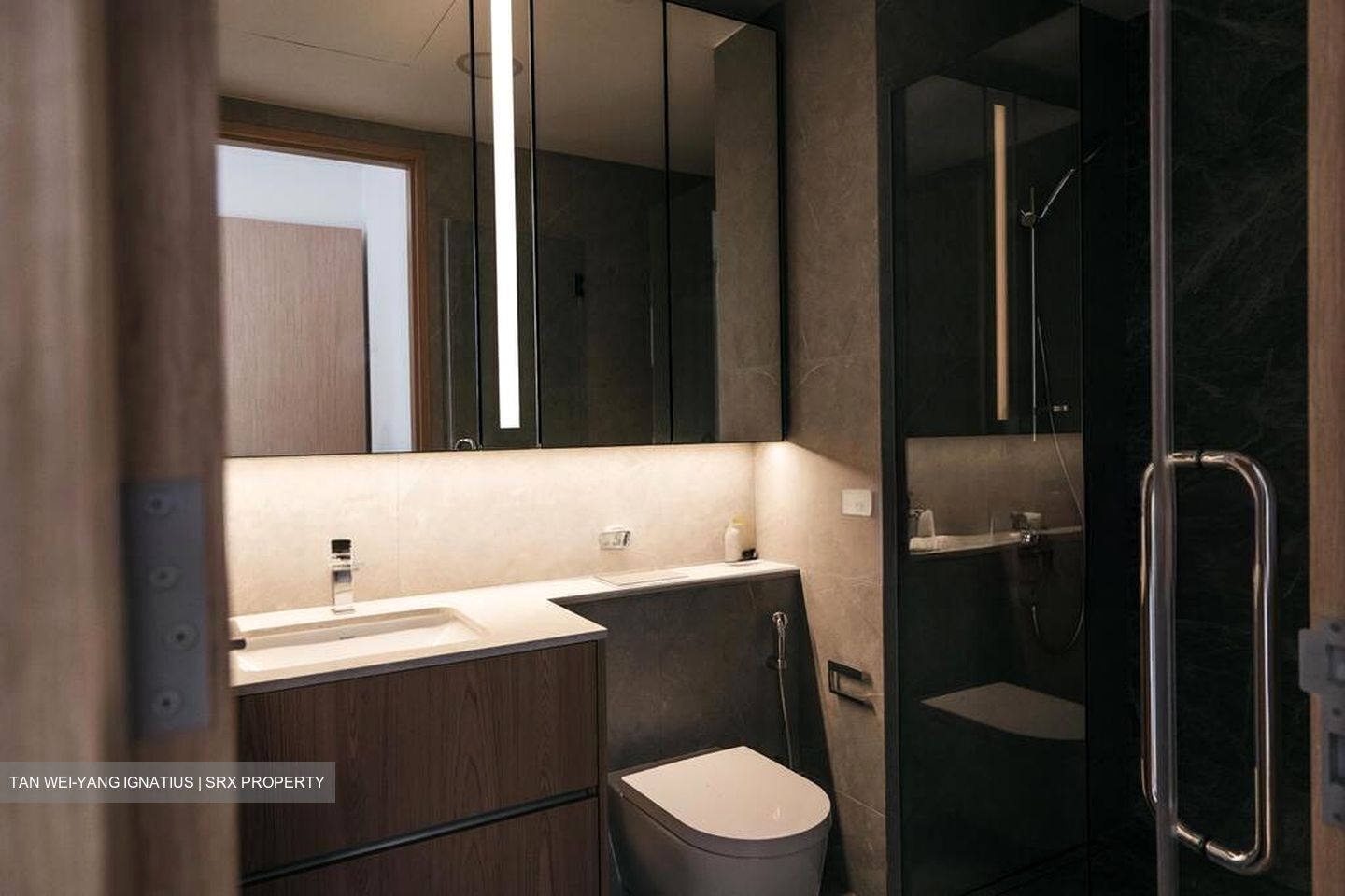 Peak Residence (D11), Condominium #499667411